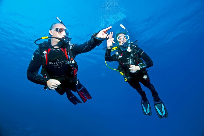 Two Morning Dives in Gozo for Certified Diver - Safety, equipment, and the small-group advantage