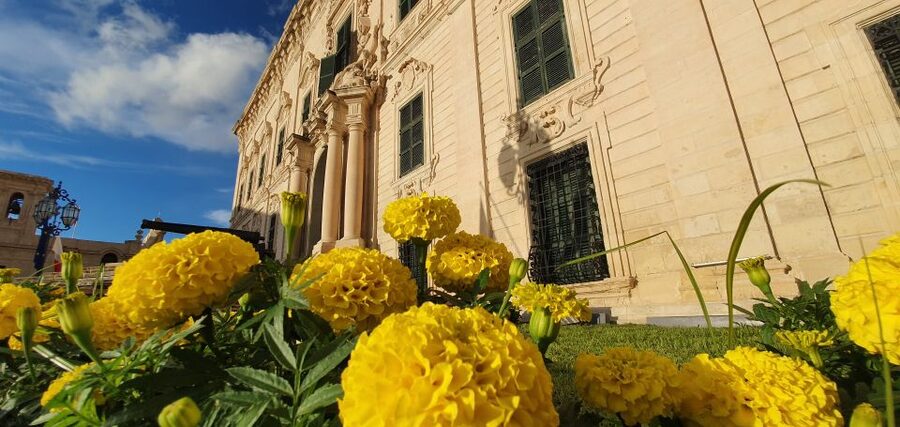 Valletta: Food Walking Tour with Tastings - What the guide adds to the food