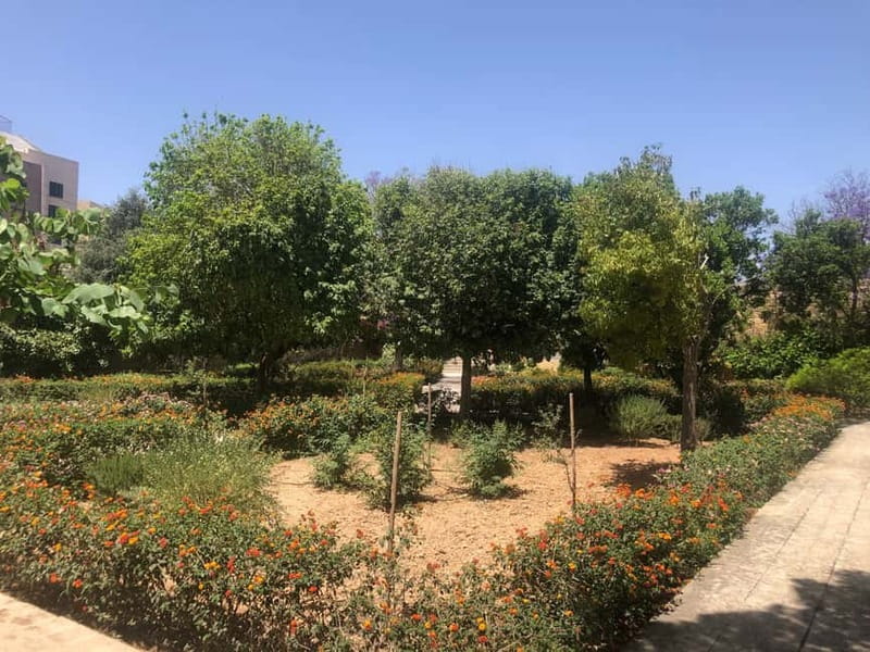 Visit Tarxien Temples, Kalanka Bay, Blue Grotto, Marsaxlokk - Tarxien Temples and Malta’s prehistoric past